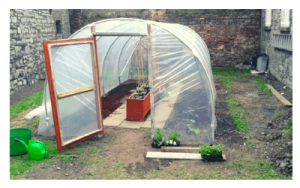 gardening-warrenmount-community-education-centre-6