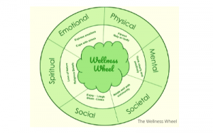 the-wellness-wheel-warrenmont-community-education-centre-6